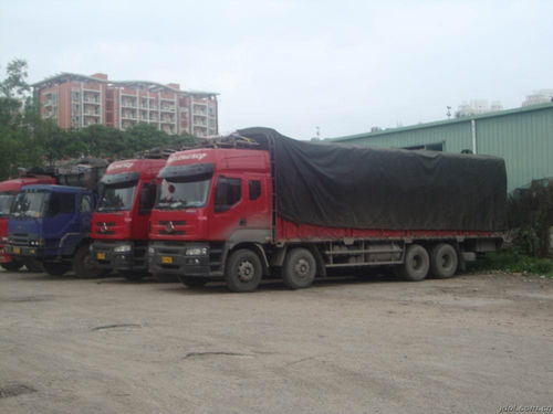 东莞运输行业概览 从普通货运到危险品运输的专业化之路