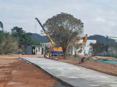 雷锋街道集中扫尾清障，为道路货物运输项目落地保驾护航